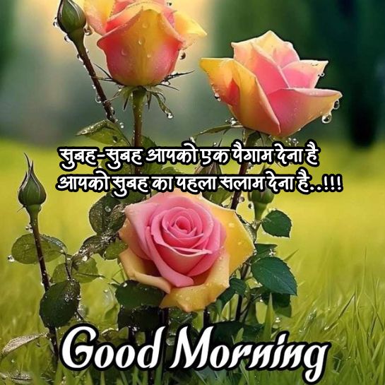 Good morning Love shayari