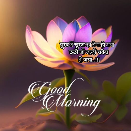 New Good morning shayari New Good morning shayari