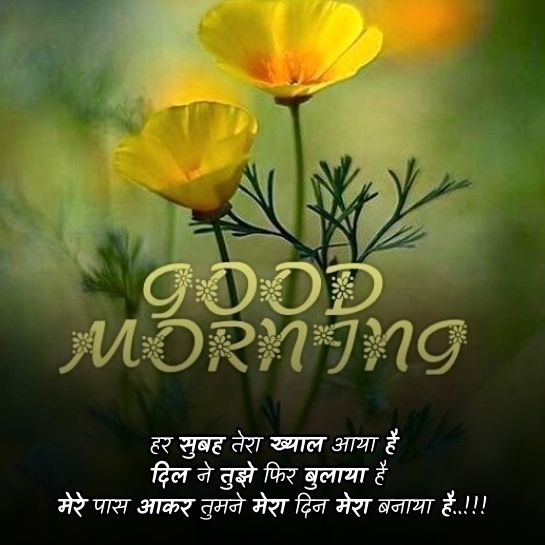 Suprabhat par morning shayari Suprabhat par morning shayari