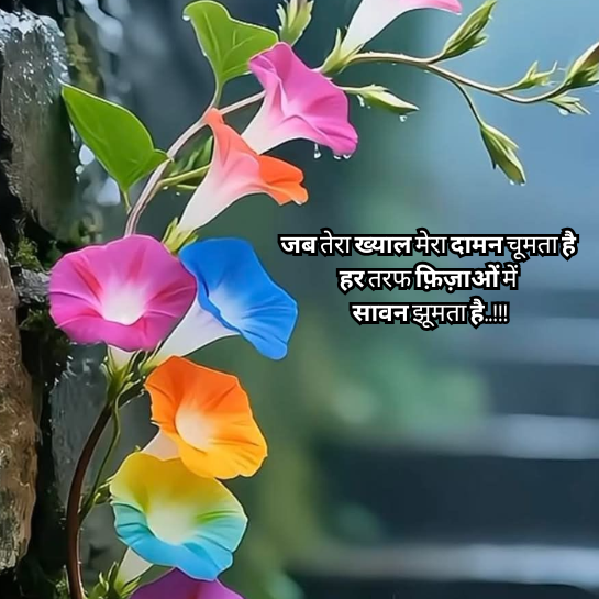 Beautiful love ki shayari Beautiful love ki shayari